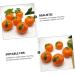 Alipis 5pcs Orange Model Artificial Fruit Mini Decor Light House Decorations for Home Trendy Decor Lifelike Orange Decorations Lifelike Fruit High Simulation Toy Child Foam - Buy Online on GoSupps.com