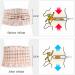 Fbite Decompression Belt - Back Support for Lower Back Pain Relief Sciatica & Herniated Disc | Lumbar Support Belt (67-110 cm Waist) - Apricot | International Shipping - Buy Online on GoSupps.com