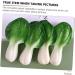 OUNONA 2pcs Little Cabbage Model Little Cabbage Props Simulation Vegetables Artificial Lettuce Simulation Food Model Decor Models Restaurant Display Prop Pvc Ingredients Chinese Cabbage - Buy Online on GoSupps.com