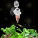 Acrylic V-Shape Automatic Fish Feeder | Red Worm & Brine Shrimp Food Cup with Suction Cup - Buy Online on GoSupps.com