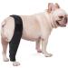 Sosoport Dog Leg Knee Elbow Cat Canine Carpal Dog Foreleg Brace Dog Nose Balm Splint Mesh Fabric Puppy XL As Shown - Buy Online on GoSupps.com