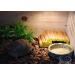 OMEM Reptile Natural Bowl Food and Water Dish Resin Made (Tree bark) - Buy Online on GoSupps.com
