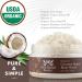 Nourish Beaute Organic Sugar Body Scrub for Exfoliation and Cellulite Hydrates and Moisturizes Skin While Improving Skin Tone and Texture 8 oz Coconut Coconut 8 Ounce (Pack of 1) - Buy Online on GoSupps.com