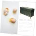 jojofuny Fridge Egg Organizer Box Egg Holder for Fridge Eggs Egg Carrier Egg Tray Fridge Egg Holder Dog Anti-collision re-usable Green 26.5X16X10CM - Buy Online on GoSupps.com