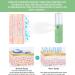 Nano Facial Mister Mini Portable Mist Sprayer USB Rechargeable - Hydrating Face Humidifier for Daily Makeup & Eyelash Extensions - Pink+Green - Buy Online on GoSupps.com