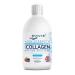 Reverse Life Marine Collagen Liquid Supplement Drink - High-Strength 10 000mg Hydrolysed Peptide Infused with Vitamin C D Hyaluronic Acid Biotin for Hair Skin Joints and Nails 500ml