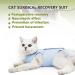 Cat Recovery Suit Cat Professional Surgery Recovery Suit E- Collar & Cone Alternative Cat Post Surgery Suit for Abdominal Wounds or Skin Diseases (Blue L Size) - Buy Online on GoSupps.com