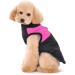 Ectkuee XL Rose Winter Warm Waterproof Dog Coat - Quilted Padded Puffer Jacket for Small Pets | Shop Internationally - Buy Online on GoSupps.com