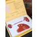 RED JASPER ROLLER and GUA SHA SET