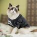 EXPAWLORER Cat Sweater for Cold Weather - Stylish Knitwear Cat Jacket | Soft, Warm Clothing for Fall and Winter | Small Size - Buy Online on GoSupps.com