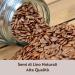Veggy Duck - Brown Linseed (1 kg) Rich in Omega3 and fiber - Buy Online on GoSupps.com