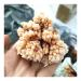 Natural Crystal Rough Rare Natural Raw Quartz Crystal Cluster Stones Crystal Point Home Decoration Raw Crystals (Size : 40-70g)