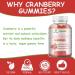 FARWIX Cranberry Gummies Supports Urinary Tract Health with 1000mg Cranberry Vitamin C&E Antioxidant & Immune Support Vegan Non-GMO Gluten-Free 60 Gummies - Buy Online on GoSupps.com