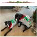 Shop Abrrlo XL Clown Dog Costume | Cozy Cotton Sweaters & Christmas Winter Coats for Pets - Buy Online on GoSupps.com