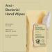 Antibacterial Hand Wipes with Aloe & Vitamin E | 40 Ct | Kills 99.9% Germs | Paraben & Sulfate Free | International Shipping - Buy Online on GoSupps.com