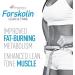 iSatori L-Carnitine LS3 Mixed Berry 1500mg & BioGenetic Labs Forskolin Lean & Tone - Combo Pack - Buy Online on GoSupps.com