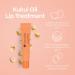 Pumpkin Spice Lip Treatment by Hanalei | Soothe Dry Lips with Kukui Oil & Shea Butter | Cruelty-Free & Paraben-Free | Made in USA - Buy Online on GoSupps.com