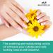 Maccibelle Lemon Cuticle Oil 0.5 oz - Heal Dry Cracked Cuticles - 0.5 Fl Oz - Buy Online on GoSupps.com
