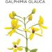 Similasan Allergy & Sinus Relief 60 ct - Natural Relief for Allergies and Sinus Congestion - Buy Online on GoSupps.com