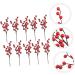 ABOOFAN 30 Pcs Christmas Imitation Fruit Christmas Floral Stems Picks Christmas Berry Christmas Flower Stems Picks Holly Berry Stems Tree Branch Decor Banquet Ornament Artificial Foam - Buy Online on GoSupps.com