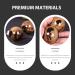 Gleavi 8-Piece Massage Tools Set | Handcrafted Massage Rollers & Baoding Balls for Hand Exercise & Health Care - Buy Online on GoSupps.com