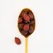 Rosehip Fruits - Loose Leaf Herbal Tea - 100% Natural - 100g - Buy Online on GoSupps.com