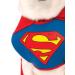 Official Superman Dog Costume - Rubies 887892M | Medium Blue/Red Outfit for Pets | International Shipping Available - Buy Online on GoSupps.com