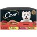 Cesar Wet Dog Food - Classics P t Multipack (24 Cups 150g x 3) - Premium International Shipping - Buy Online on GoSupps.com