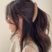 6PCS Banana Hair Clips Large Banana Clips for Women Thin Thick Hair Non-slip Strong Hold Matte Banana Claw Clips for Women Girls Hair Accessories - Buy Online on GoSupps.com