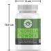 SENTA Holy Natural - The Wonder of World Chlorella Capsule - 120 Veggie Caps Brand: Dalal - Buy Online on GoSupps.com