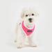 Puppia Soft Harness II | Comfortable & Adjustable Pink Dog Harness for Small & Medium Dogs - Buy Online on GoSupps.com