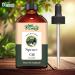 Organic Zing Spruce (Picea) Oil | Pure & Natural Essential Oil for Aroma Diffusers Hair Care & Massage - 118ml/3.99fl oz - Buy Online on GoSupps.com