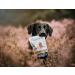 ProDen PlaqueOff Dental Bites For Dogs Over 10 kg Bad Breath Plaque Tartar Package May Vary 150 g (Pack of 1) - Buy Online on GoSupps.com