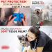 WizGate Vet Wrap 8Pcs Assorted 5cm x 4.5m Non-Woven Cohesive Bandages - Self-Adhesive, Breathable & Stretchable Rolls for Pets & Humans - Ideal for Sprains, Swelling & More - Buy Online on GoSupps.com