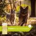 Dirk Drexel Colostrum Kr uterlis Cat Treats - Boost Immune System 180g | Premium Cat Snacks for Healthy Pets - Buy Online on GoSupps.com