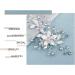BSLVWG Flower Bride Wedding Hair Comb Slides Silver Crystal Hair Piece Bridal Hair Accessories for Women and Girls - Buy Online on GoSupps.com