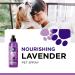 Lavender Oil Dog Deodorizing Spray - Calming and Refreshing Scent for Smelly Dogs and Puppies - Buy Online on GoSupps.com
