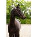 Buy PresTeq FaySport Snaffle Bridle - Brown Full Size | Premium Equestrian Gear | International Shipping Available - Buy Online on GoSupps.com