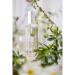 Provence Sante Eau de Toilette Spray - Luxury Long-Lasting Fragrance - Vetiver Scent - Elegant Perfume Gift - Made in France - 3.5 Oz - Buy Online on GoSupps.com