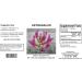 Supreme Nutrition Astragalus Supreme 90 Capsules - 505mg Pure Huang Qi - Immune Support Supplement - Buy Online on GoSupps.com
