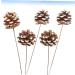 TEHAUX 10 Pcs Floral Flower Bouquet Artificial Pine Cone Bouquet Artificial Plants Diy Crafting Pinecones Branches Pinecones with Pine Floral Picks Mini Wreath Ornament Vase Autumn Bamboo As Shownx2pcs 50X5cmx2pcs - Buy Online on GoSupps.com