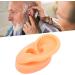 Professional Reusable Soft Human Ear Model - Waterproof Fake Ear for Ear Hole Training (Left) | Versatile eCommerce Solution - Buy Online on GoSupps.com