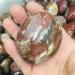 Natural Crystal Rough Gems for Decoration 100g Natural Crystal Petrified woodPlay with The Rolling Palmetto 1pcs Aura Crystal
