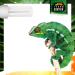 Compact Pro 8.0 UVB Lamp for Terrariums | Energy-Saving Daylight for Agamens Chameleons Iguanas & Turtles - Buy Online on GoSupps.com