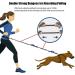 Hands Free Dog Leash Retractable Dog Leash Running with Dual Bungees for Medium and Large Dogs Adjustable Waist Belt Reflective Stitching Leash for Running Walking Hiking Jogging Biking (Blue) - Buy Online on GoSupps.com