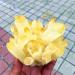 for 1PC Natural Beautiful Yellow Sprite Crystal Cluster Citrine Vug Ore Quartz Sample for Reiki Crystal Cluster 200 220g