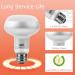 LUCKY HERP Reptile Heat Lamp Bulb(100W 2 Pack) Daylight Basking Spot Heat Lamp for Reptile Vivarium UVA Heat Light Bulb for Tortoise Turtle Snake Puppies Chicks Bearded Dragon 100.0 Watts - Buy Online on GoSupps.com