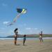 Mint's Colorful Life Delta Kite - Easy-to-Fly Rainbow Design for Kids & Adults - Buy Online on GoSupps.com