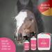 Hoofgold Woow Tail & Mane Spray for Horses | 1000ml | Mild Care Knotting Relief Volume & Gloss - Buy Online on GoSupps.com