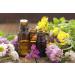 Cedar Bear Respir Moisten - Herbal Liquid Supplement for Respiratory Care | Soothes Irritated Tissues & Relieves Coughs - 1 Fl Oz - Buy Online on GoSupps.com